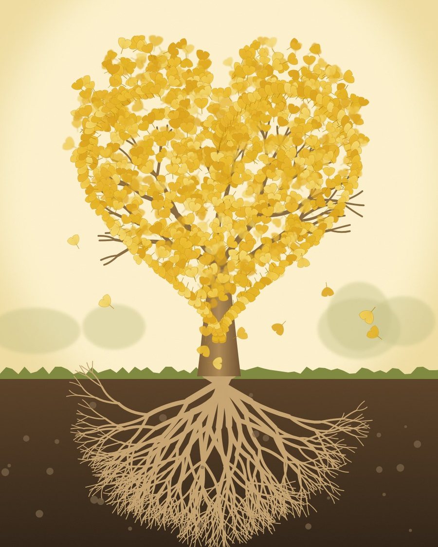 Illustration of a ginkgo tree with a heart-shaped canopy and deep roots
